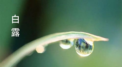 二十四節(jié)氣-白露 | 白露至,秋實(shí)美【杭州易造】