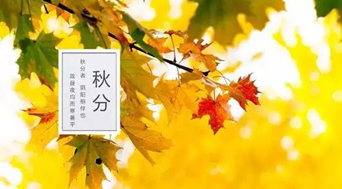 廿四節(jié)氣 | 秋分：秋向此時(shí)分【杭州易造】