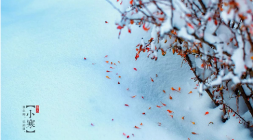 小寒|總有一束光亮，照亮寒夜的路-【易造防雷】
