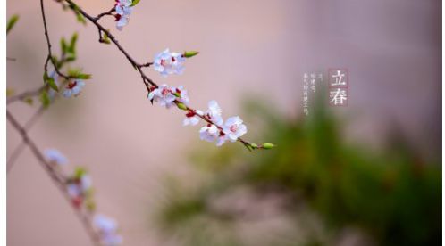 立春|一年四季春為首，莫負(fù)春日好時(shí)光——【易造科技】