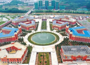 成都文軒職業(yè)學(xué)校雷電預(yù)警系統(tǒng)建設(shè)【易造防雷】