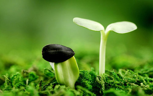 二十四節(jié)氣 | 驚蟄到，春意濃【杭州易造】