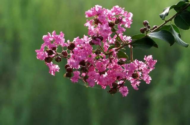 植樹節(jié)-春風(fēng)十里，正“植”有你【杭州易造】