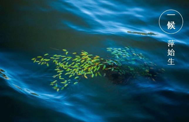 谷雨|雨生百谷,萬象更新