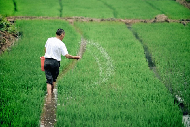 立夏六｜春光忽盡，夏木成陰【杭州易造】