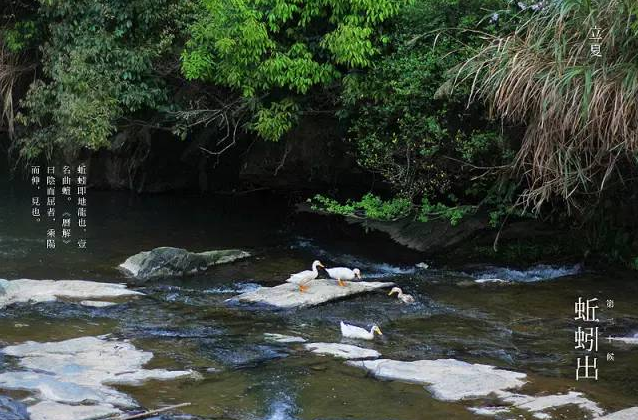 立夏六｜春光忽盡，夏木成陰【杭州易造】