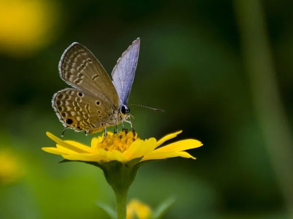 驚蟄-叫醒甜睡的春-易造防雷 驚蟄-叫醒甜睡的春-易造防雷